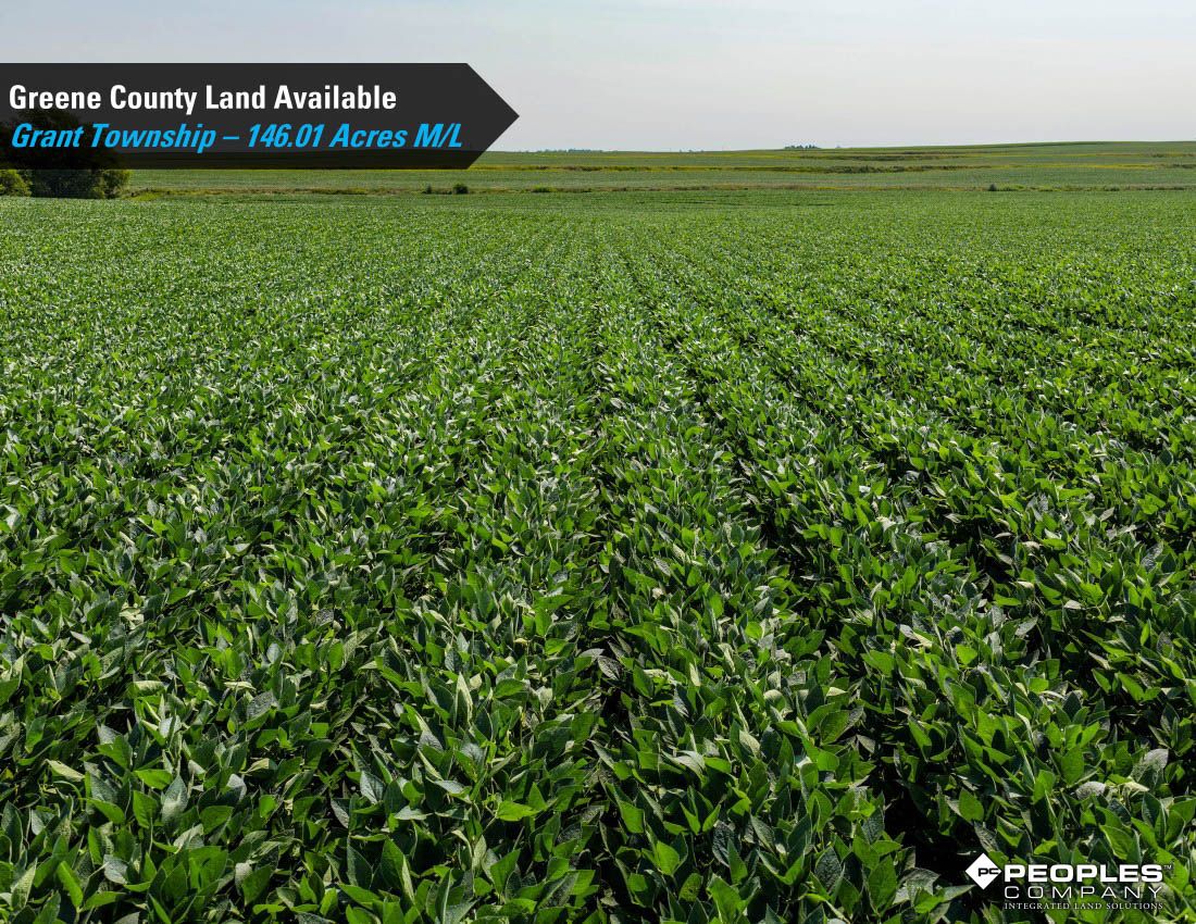 Listing Photo: Greene-County-Iowa-Farmland-Available-146-Acres-19686-Jefferson (11)